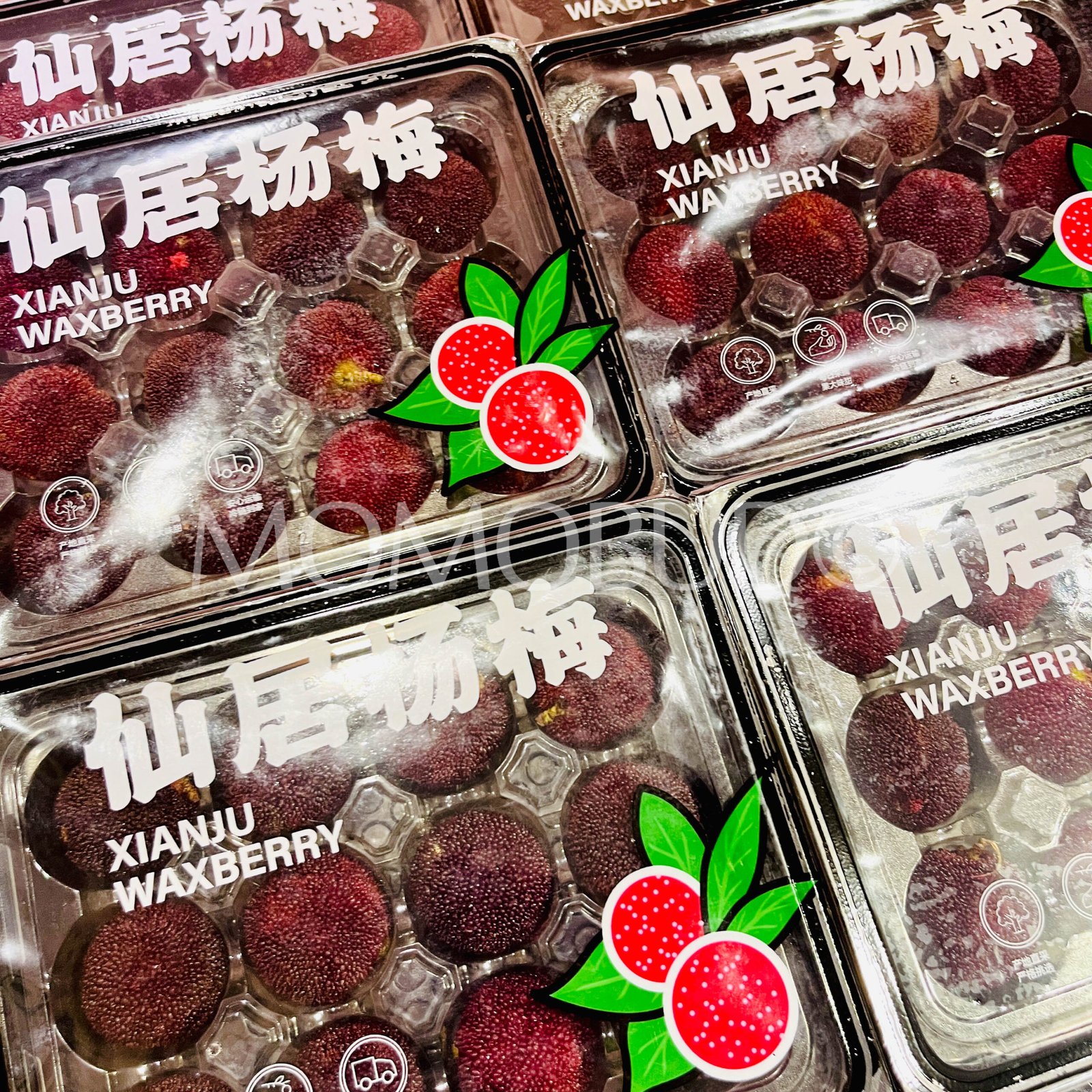 Premium Zhejiang Xianju Waxberry (XL 300g, 12pcs) - Image 2