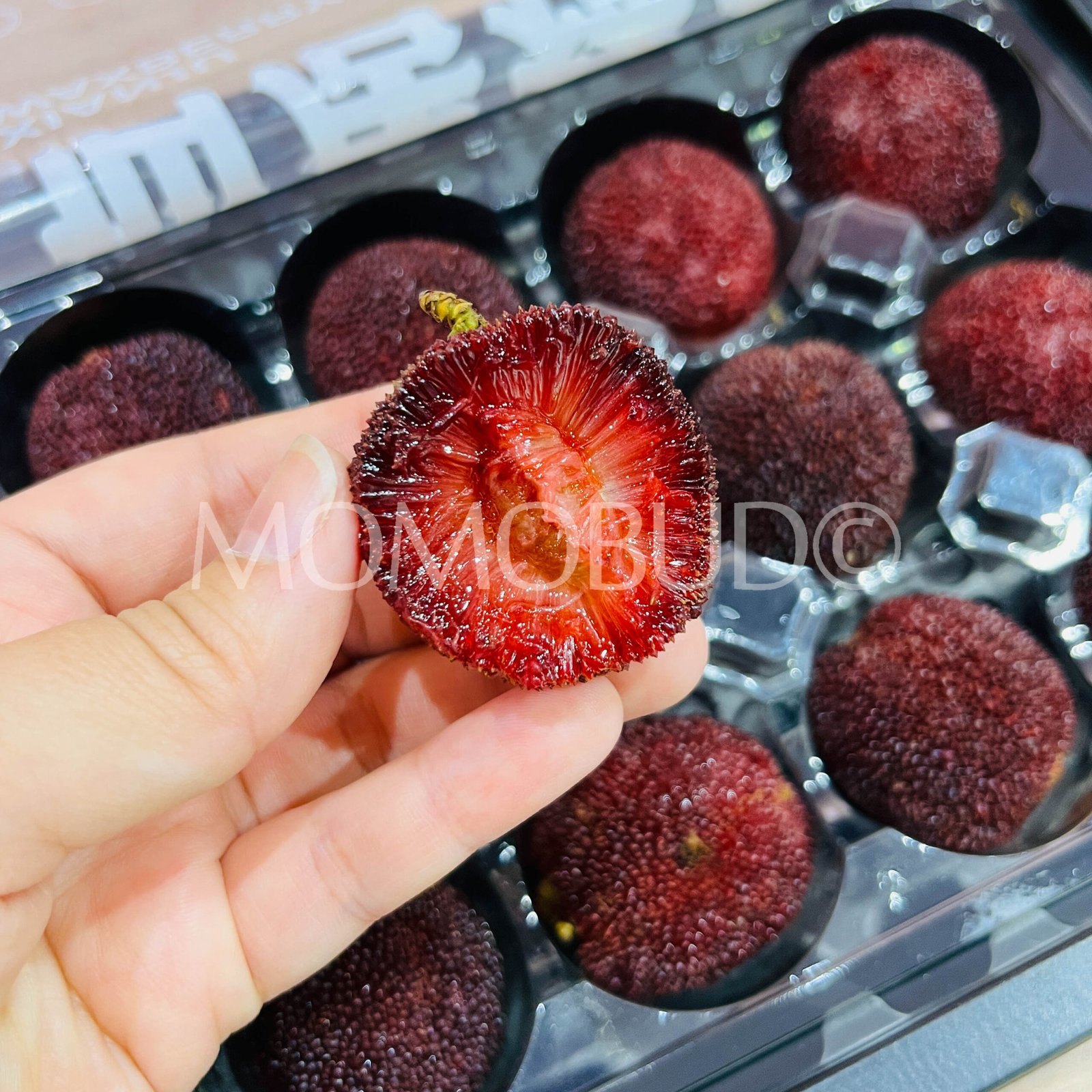 Premium Zhejiang Xianju Waxberry (XL 300g, 12pcs) - Image 6