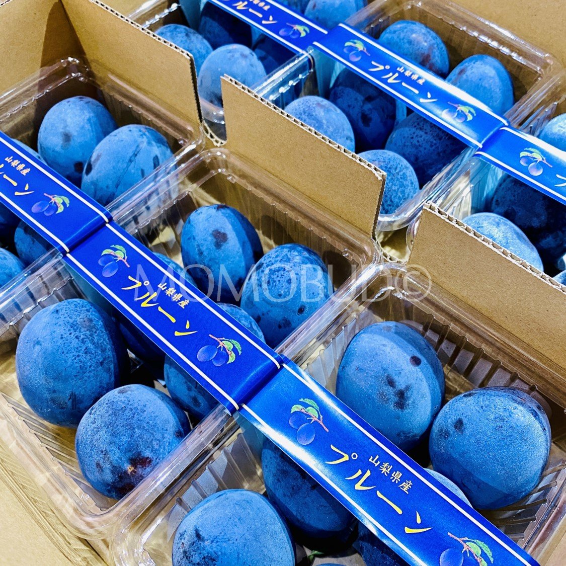Japanese Sukou Sugar Prune (400g punnet) - Image 4