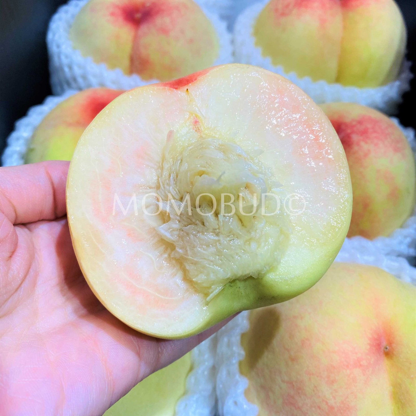 Yangshan Honey Water Peach Gift Box (2pcs) - Image 4
