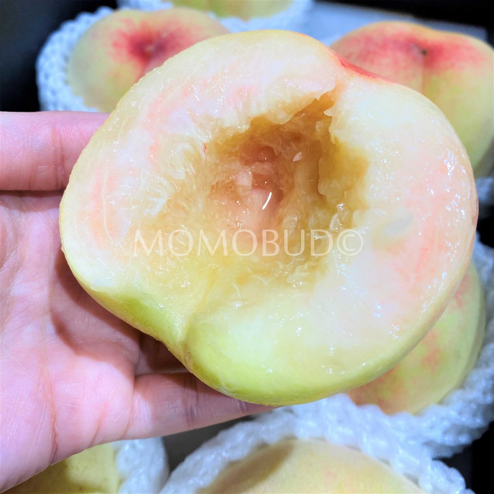 Yangshan Honey Water Peach Gift Box (2pcs) - Image 5