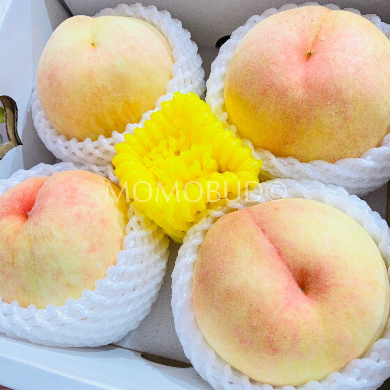 Yangshan Honey Water Peach Gift Box (4pcs) - Image 2