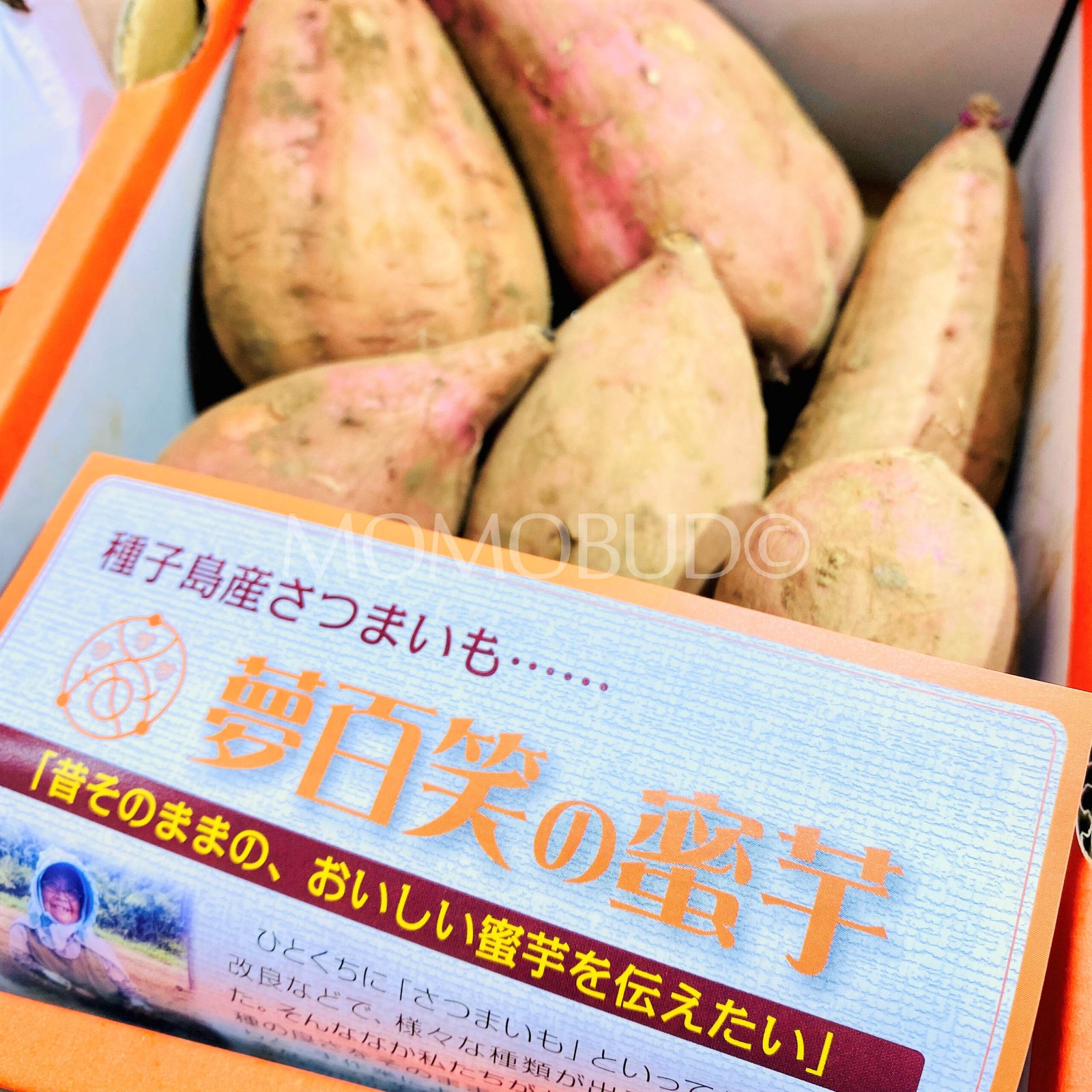 Japanese Kobo no Megumi Annou Golden Satsumaimo Gift Box (Sweet Potato) - Image 6