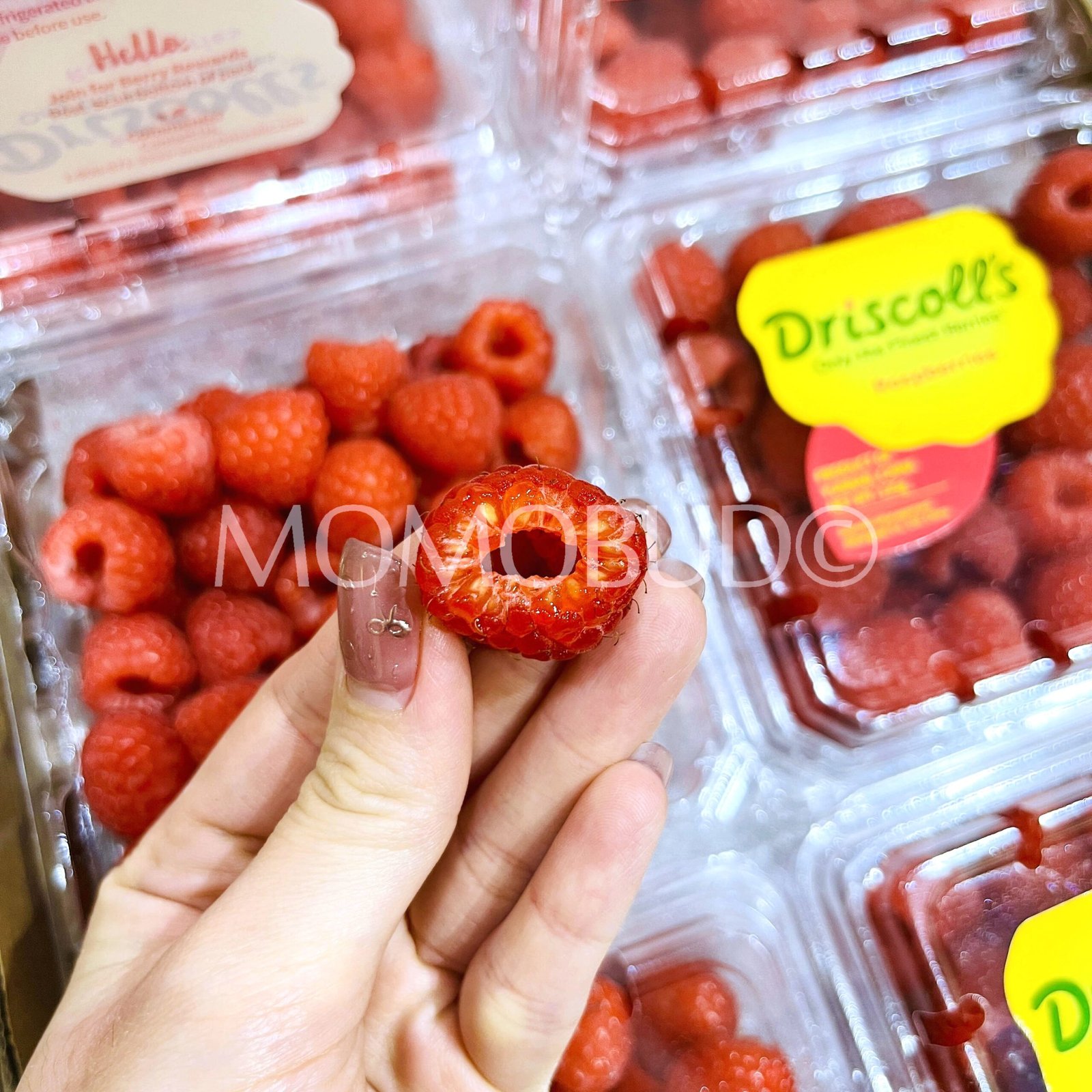 Driscoll's Raspberry (125g punnet) - Image 4