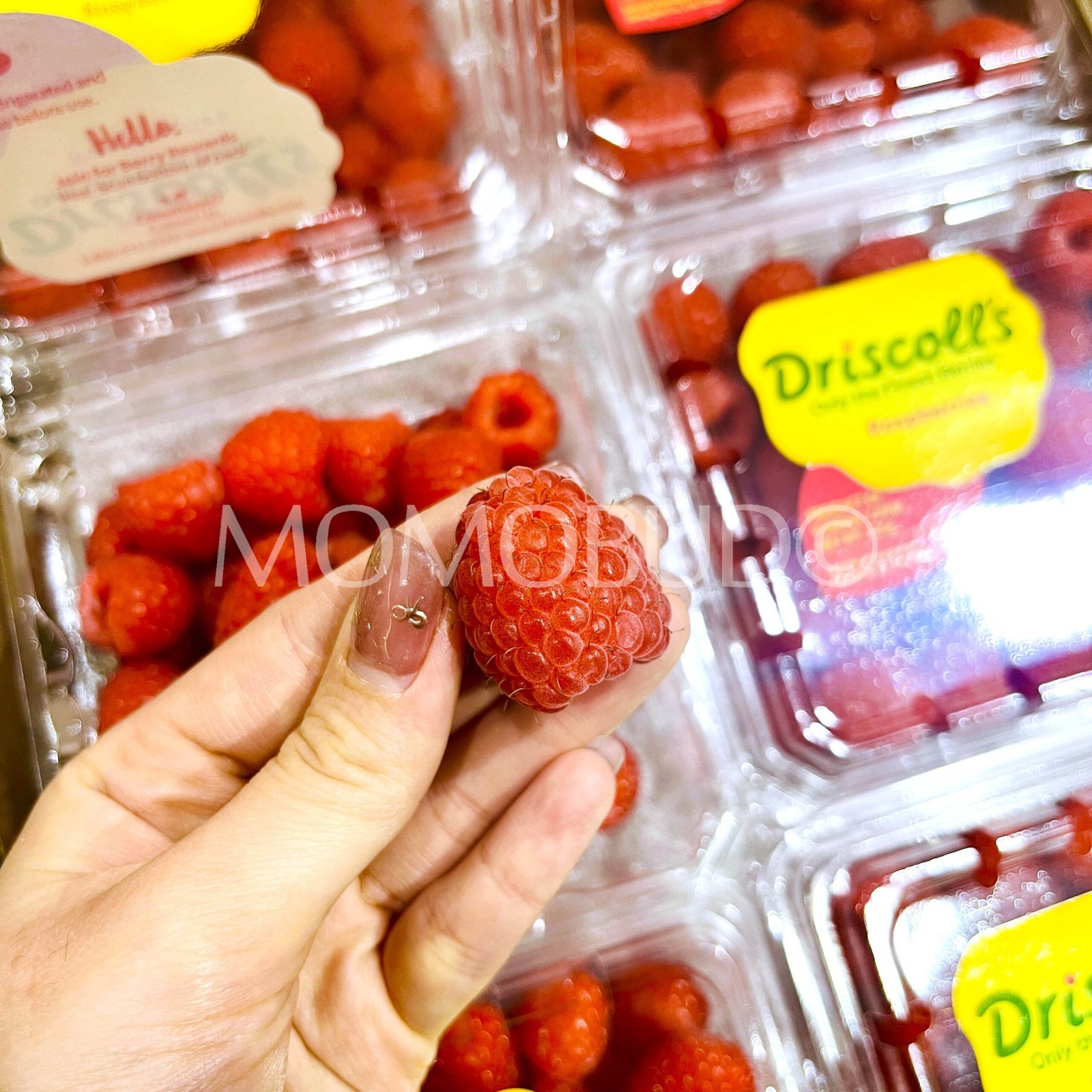 Driscoll's Raspberry (125g punnet) - Image 3