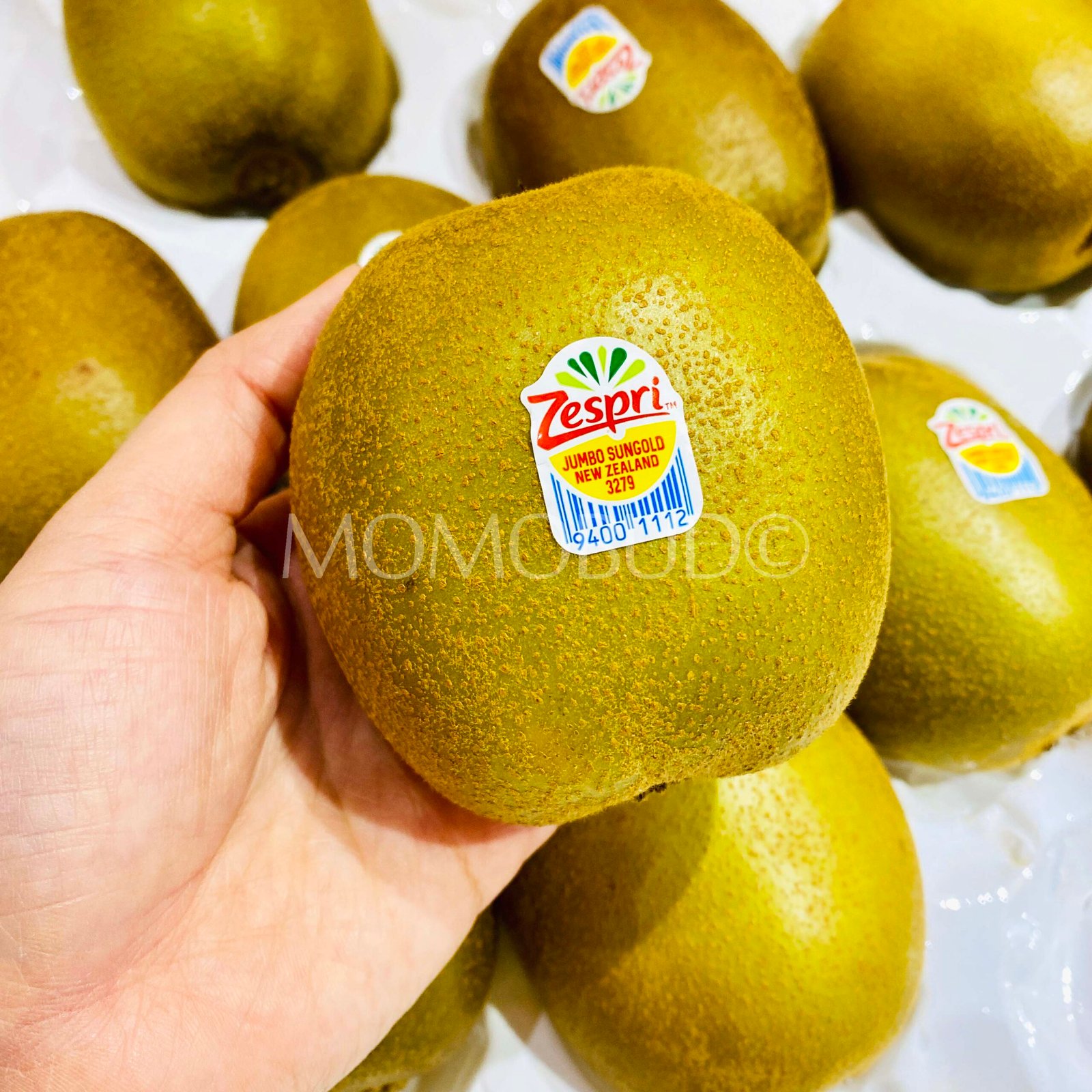 Zespri Jumbo Sungold Kiwi - Image 2