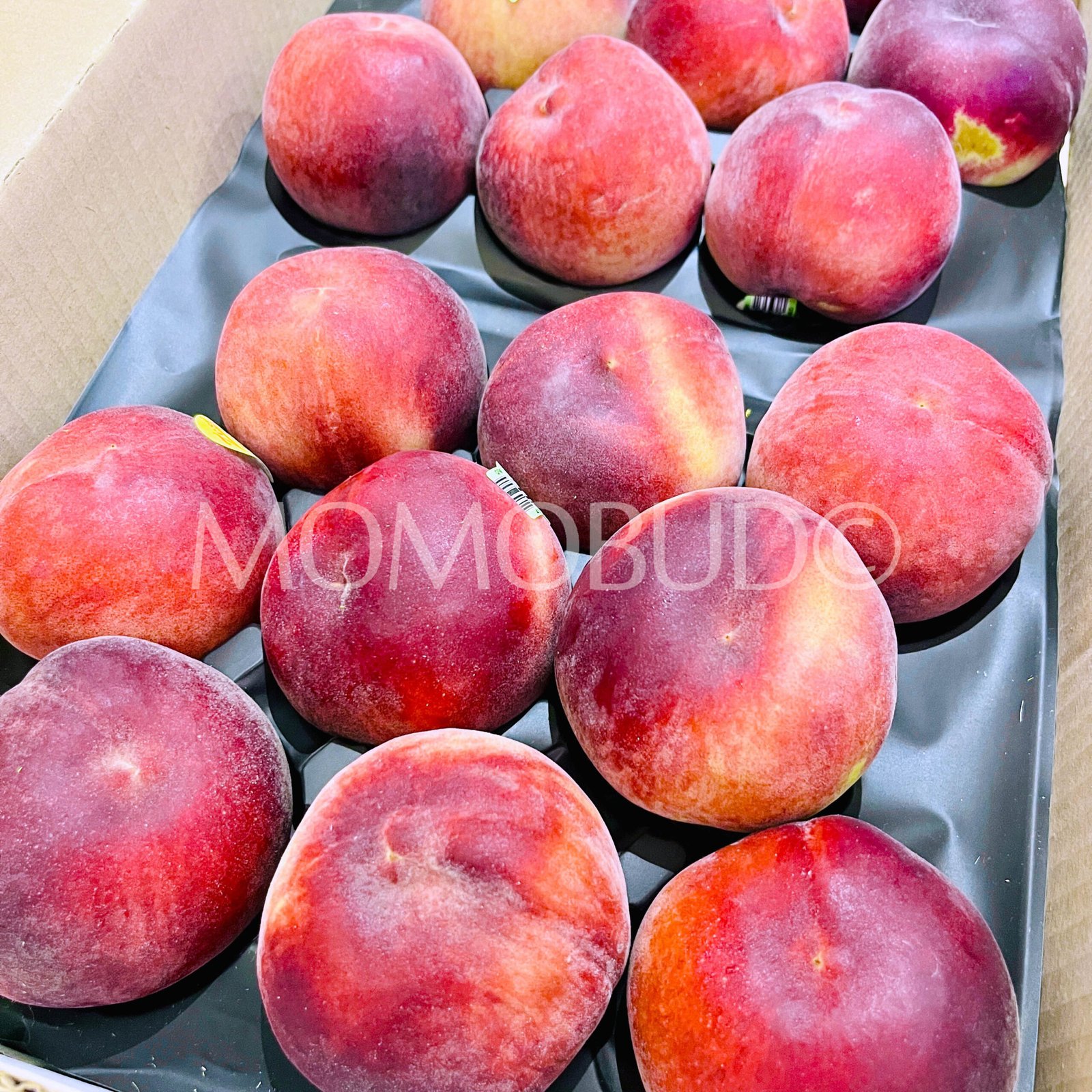 Zest® Australian White Peach (Medium-Plus) - Image 2