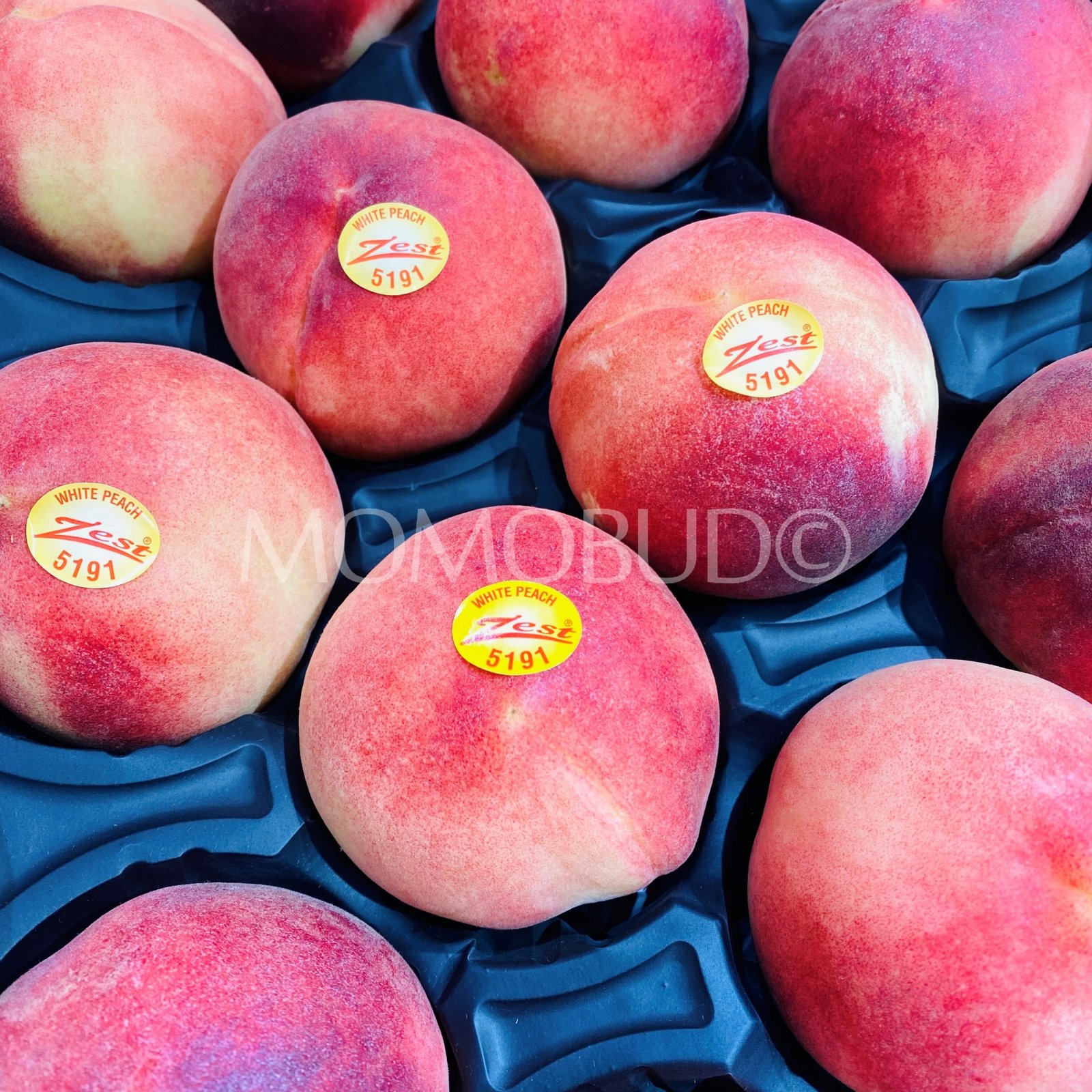 Zest® Australian Snow Princess White Peach (Large) - Image 2
