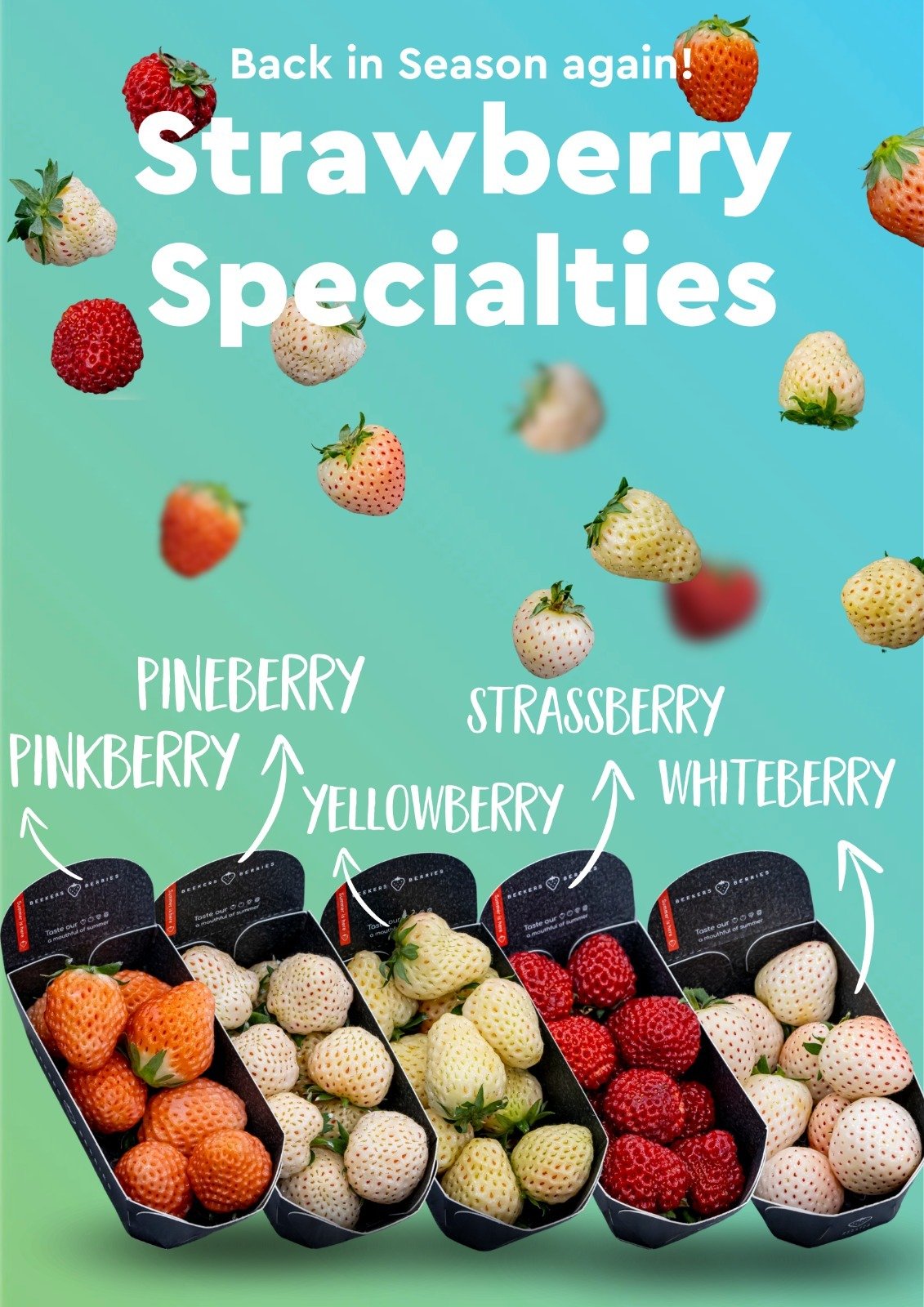 Beekers Specialties Yellowberry Strawberry (120g punnet) - Image 7