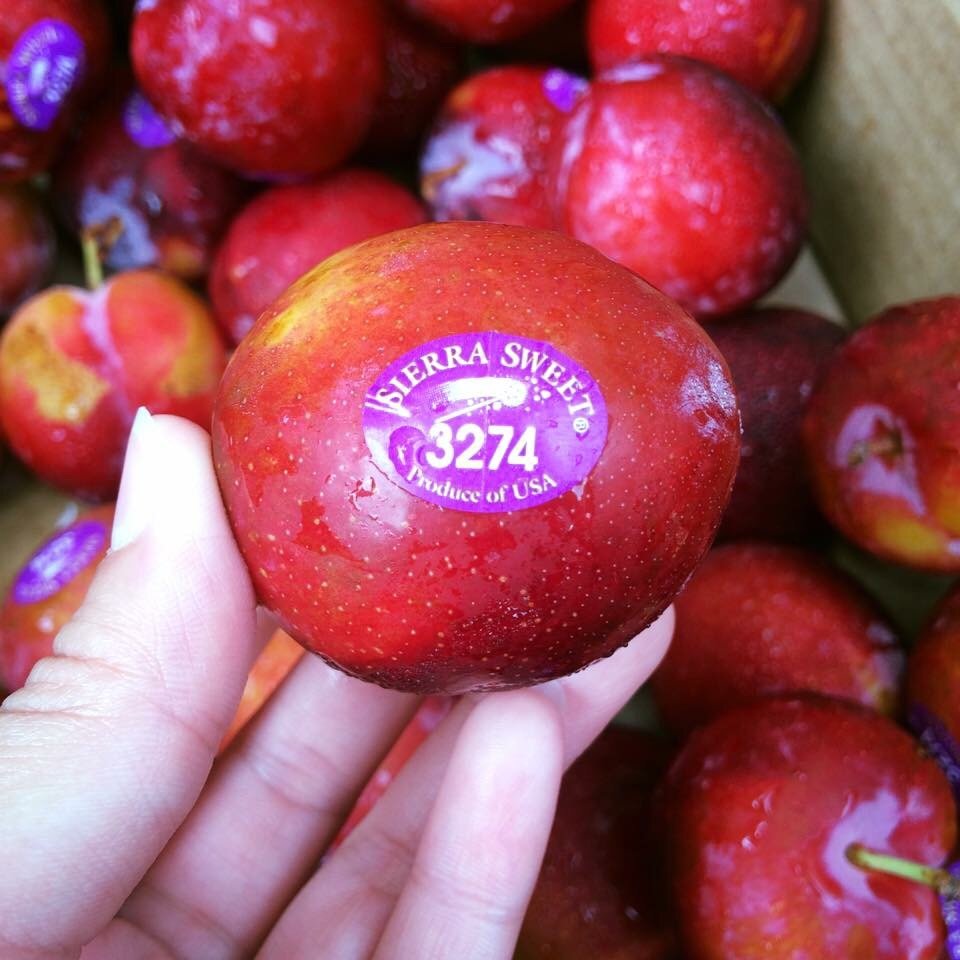 Sierra Sweet Plum - Image 4