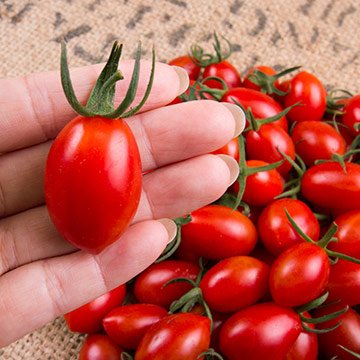 Hothouse Virgin Tomato - Image 4