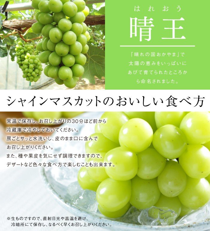 Japanese Premium Hareo Shine Muscat Grapes Gift Box (900g and above) - Image 7
